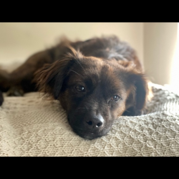 Meet your Posher, Irene - Picture 1 of 1